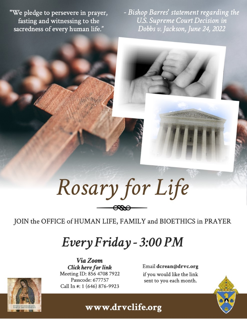 DRVC-Rosary for Life